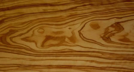 Olivo