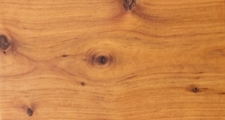 Legno di Tasso