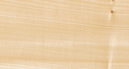 Legno di Tiglio - Consistenza e venatura