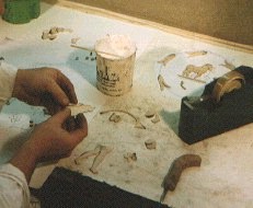 hex19.jpg